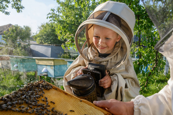 Doświadczony pszczelarz dziadek uczy swojego wnuka dbania o pszczoły. Pszczelarstwo. Koncepcja transferu doświadczeń - Zdjęcie, obraz