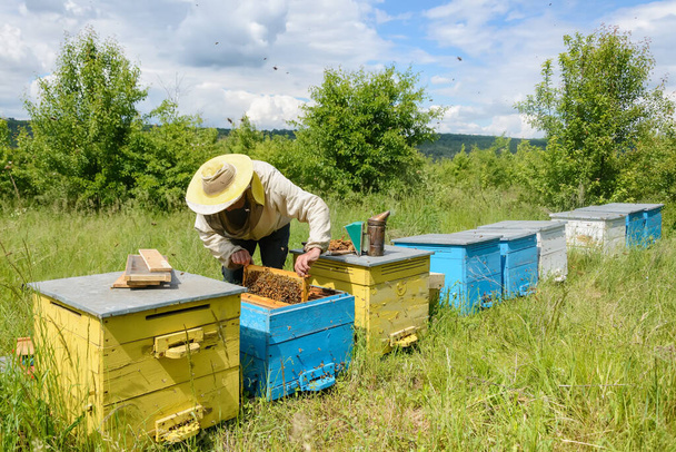 L'apicoltore lavora su un apiario. Apparato respiratorio - Foto, immagini