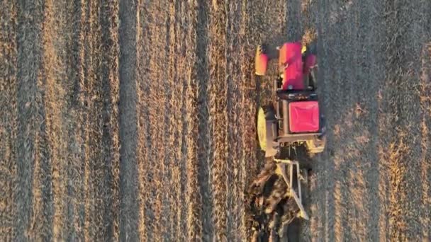Agricultor en tractor en el trabajo preparando la tierra de arado con el campo agrícola - Imágenes, Vídeo
