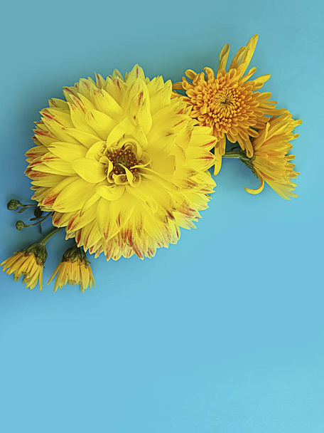 Blumenschmuck auf farbigem Hintergrund - Foto, Bild