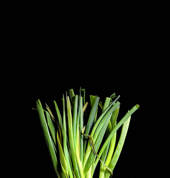 Зеленый сырой лук стебли на черном фоне. Концепция азиатской кухни - Фото, изображение