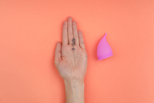 rosa Menstruationstasse und Hand mit Lavendel isoliert auf Pfirsichhintergrund. Menstruation, kritische Tage, Frauenphasen. Null Abfall, Öko, Ökologie - Foto, Bild