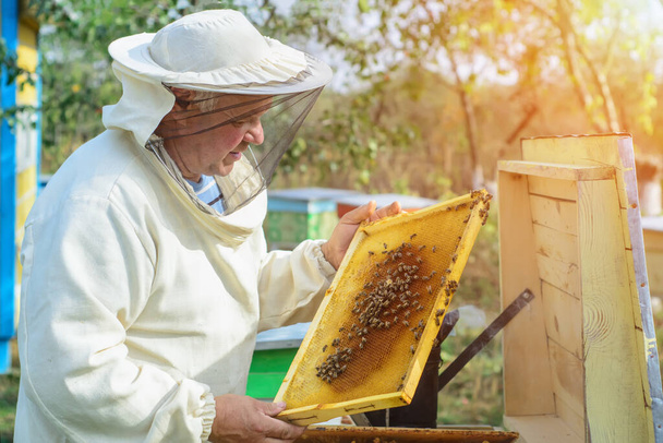 Pszczelarz pracuje z pszczołami i uli na pasiece. Pszczelarz na pasiece. - Zdjęcie, obraz