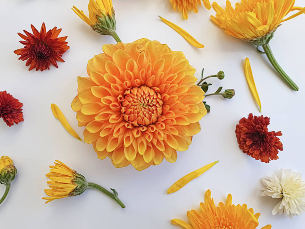 floral arrangement on colored background - Foto, afbeelding
