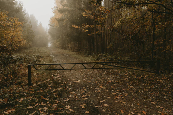 Vieille barrière métallique fermée rouillée sur un sentier forestier avec forêt matinale d'automne brumeuse en arrière-plan - Photo, image