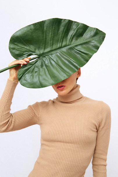 Sensual Model in studio. Casual look. Palm leaf.  Fashion minimalist concept - Zdjęcie, obraz