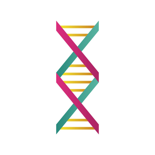 icona isolata della struttura molecolare del DNA - Vettoriali, immagini