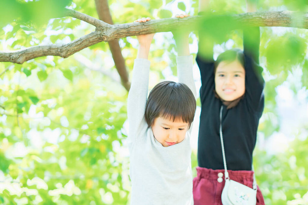 Kaksi lasta roikkuu puun oksalla kauniina päivänä - Valokuva, kuva