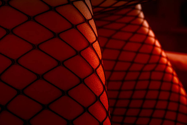 Close-up female legs in stockings, sexy pose, selective focus - Φωτογραφία, εικόνα
