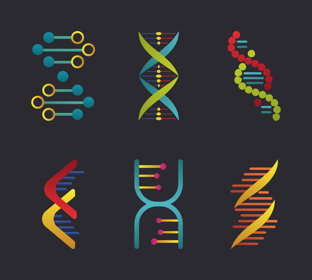 seis estructuras de moléculas de ADN establecen iconos - Vector, Imagen