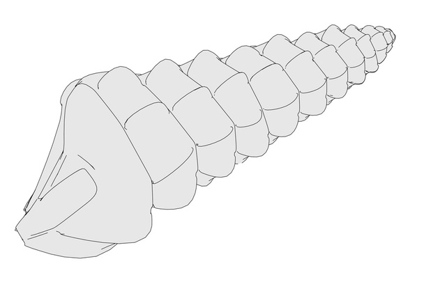 cartoon afbeelding van zee schelp - Foto, afbeelding