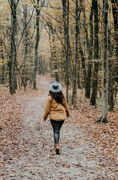 A vertical shot of a lady walking in an autumn forest - Foto, imagen