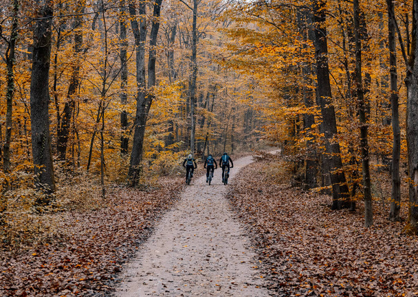 ZAGR, CROATIA - Nov 18, 2020: Three people riding bikes on path in forest. Mountain bikes, bicycles, autumn, fall, pathway in forest. - Photo, image