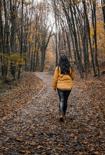 A vertical shot of a lady walking in an autumn forest - Foto, imagen