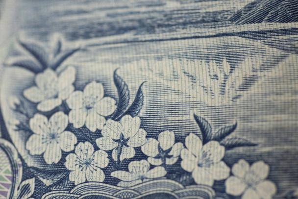 Closeup na 1000 YEN bankovek. - Fotografie, Obrázek