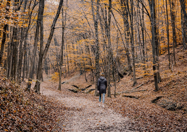 A closeup shot of a lady walking in an autumn forest - Fotó, kép