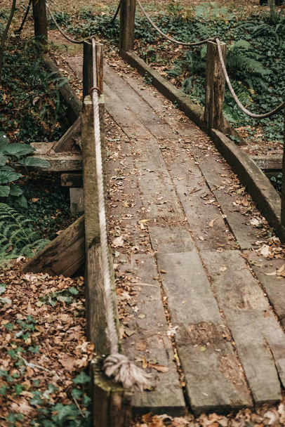A vertical shot of a wooden hiking trail in a forest - Foto, Bild