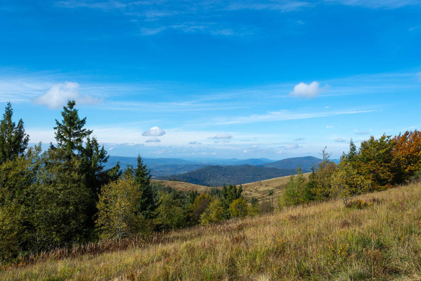 Schöne Berglandschaft mit blauem Himmel, an einem sonnigen Tag. Die Karpaten. Ukraine. - Foto, Bild
