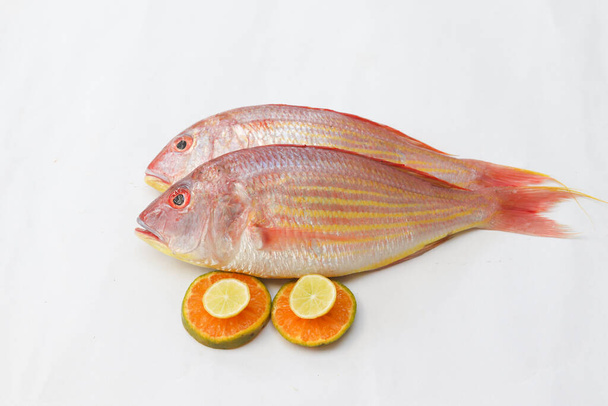 Close up view of fresh Pink Perch (thread finned Bream) Decorated with lemon slice, Orange slice on a White Background, Selective focus. - Фото, изображение