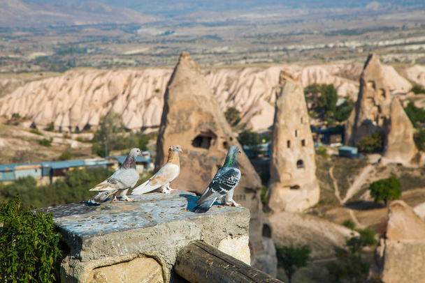 Valley of doves panoramic view near Uchisar castle in sunrise, Cappadocia - Photo, Image