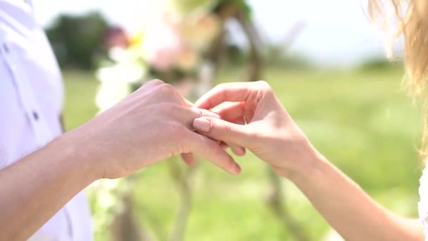 die Braut legt den Ring an den Finger des Bräutigams - Filmmaterial, Video