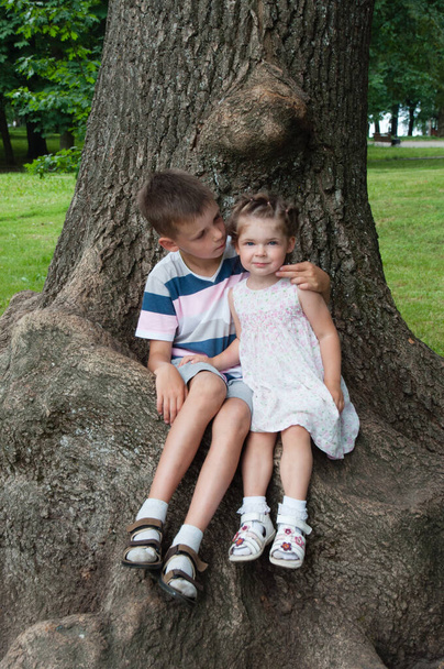 二人の子供が木の上に座っている。美しい男の子兄抱擁小さな妹 - 写真・画像