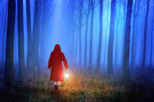 Little Red Riding Hood in the forest - Photo, Image