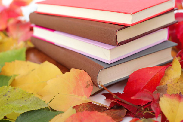 Bücher zwischen den Herbstblättern - Foto, Bild