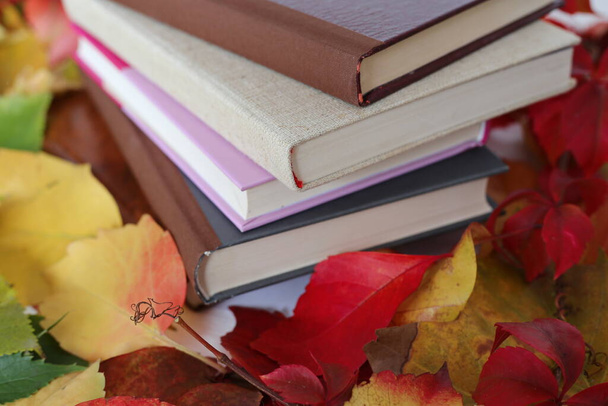 Boeken onder de herfstbladeren - Foto, afbeelding