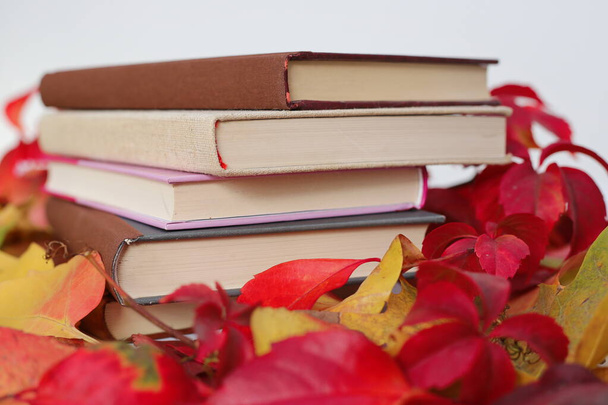 Könyvek az őszi levelek között - Fotó, kép