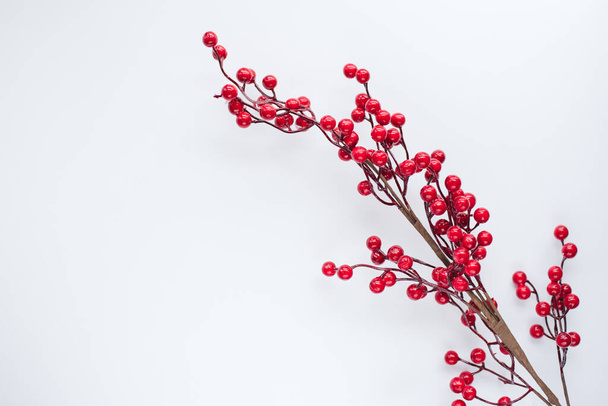 branch with red berries on a white background with place for text - Foto, afbeelding