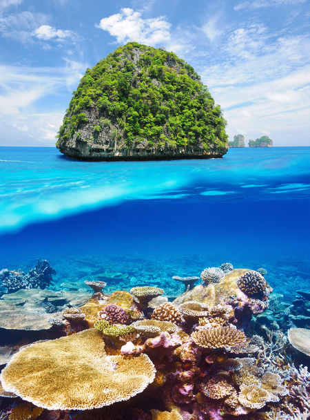 onbewoond eiland met coral reef onderwater uitzicht - Foto, afbeelding