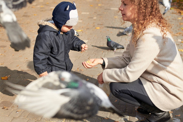 Mom with a little son feed pigeons in the park in the fall. - Photo, Image