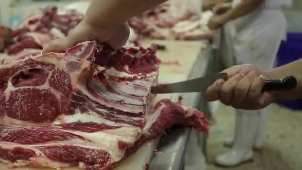 Krojenie wołowiny lub wieprzowiny. Rzeźnicy rzucają kostkami w przemyśle spożywczym. Cięcie mięsa wołowego przy produkcji mięsa. - Materiał filmowy, wideo