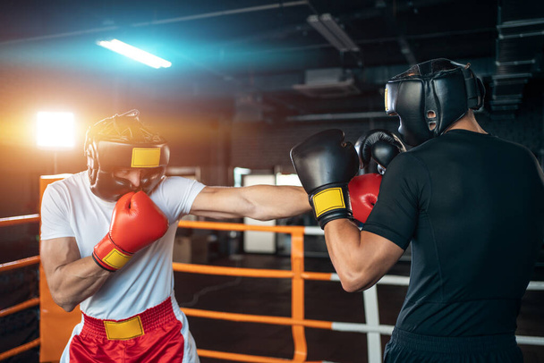 two muscle boxers sport man training and fighting on boxing ring at gym - Foto, Bild