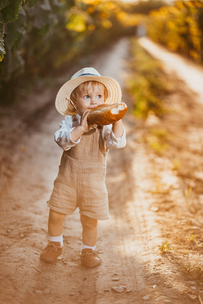a boy in a field of sunflowers eats wheat bread, the loaf is partially bitten off - Fotografie, Obrázek