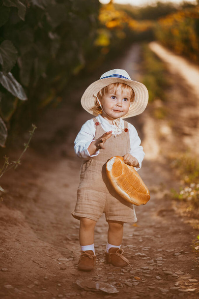 a boy in a field of sunflowers eats wheat bread, the loaf is partially bitten off - Photo, image