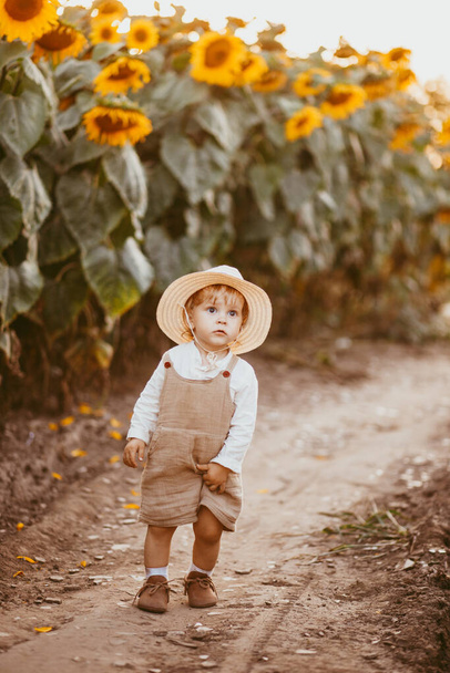 A young boy walks through a sunflower field in the summer. - Фото, зображення