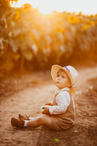 baby boy blond sitting in a field with sunflowers in summer, children's lifestyle - Foto, afbeelding
