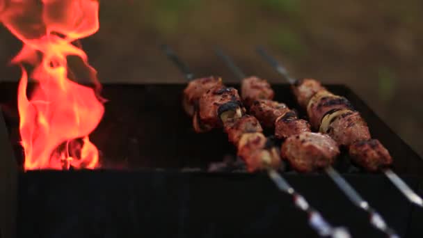 La viande de porc sur les brochettes est cuite sur le gril avec des charbons brûlants à l'extérieur - Séquence, vidéo