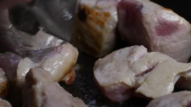 Escena de cerdo ibérico a la parrilla, carne fresca al vapor a fuego lento. - Metraje, vídeo