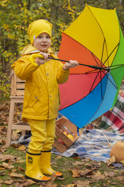 cute beautiful prescholer boy in an orange pants, raincoat, hat, rubber boots with a rainbow-colored umbrella near photo zone of autumn decorations - pumpkins, apples, blankets, hay. Cosiness. - Photo, Image
