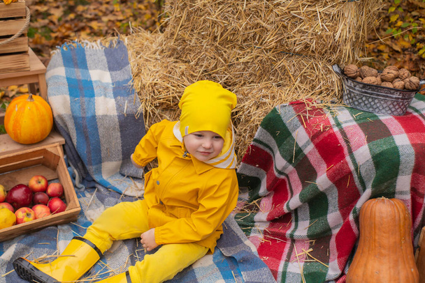 cute beautiful prescholer boy in an orange pants, raincoat, hat, rubber boots near photo zone of autumn decorations - pumpkins, apples, blankets, hay. Cosiness. - Photo, Image