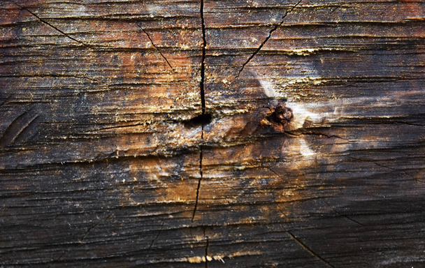 Wood texture. Old tree bark background and texture with vintage color and vintage style. The texture of the punishment is cracked and frayed. - Foto, afbeelding