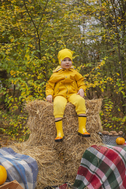 schattig mooi kleuter jongen in een oranje broek, regenjas, hoed, rubberen laarzen zittend op een stapel hooi. Gezelligheid, herfst. - Foto, afbeelding