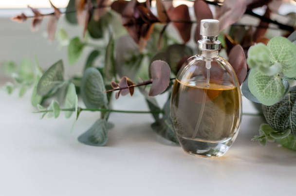 Botella de perfume de mujer sobre fondo de hojas de eucalipto - Foto, imagen