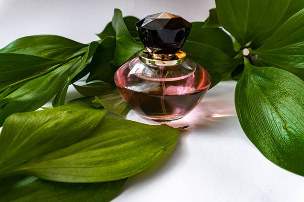 Pink bottle of women`s perfume and green leaves on white background. Natural gentle fragrance for women. - Photo, Image