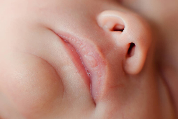 Caucasian Newborn baby face closeup macro detail shot. child portrait, health skin, tenderness, maternity and babyhood concept - Image. Soft selective focus. High quality photo - 写真・画像