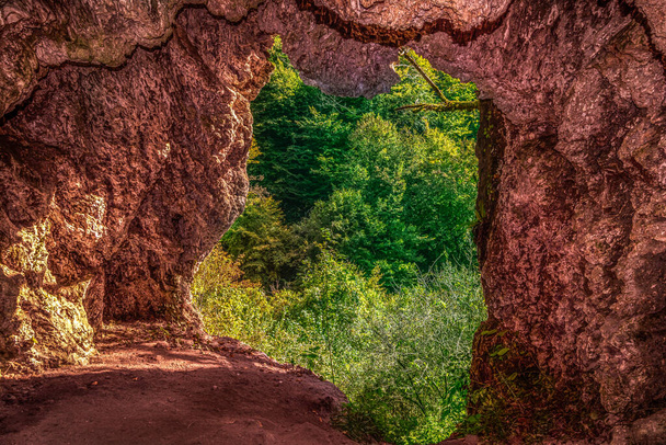 Вигляд на вхід до печери, зелений ліс на задньому плані печери вілінске, Самобороско горище, Хорватія.. - Фото, зображення