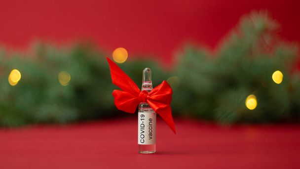 Ampułka szczepionki COVID-19 jest prezentem w pobliżu gałęzi choinki z lampkami na czerwonym tle. Sztandar - Zdjęcie, obraz